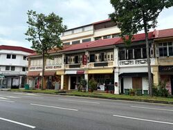 Tiong Bahru Estate (D3), Shop House #557088091